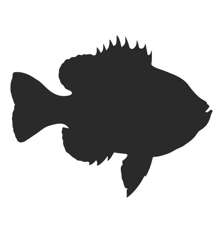 akvarijní ryba